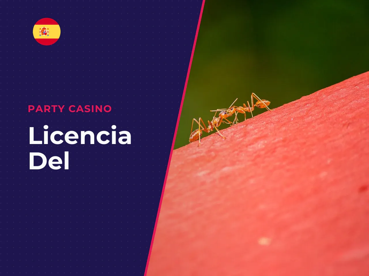 Qué revisar antes de la primera apuesta. Antes de la primera apuesta, conviene comprobar cuatro cosas: licencia del casino, límites de juego, disponibilidad de aviator demo y condiciones de retirada. 