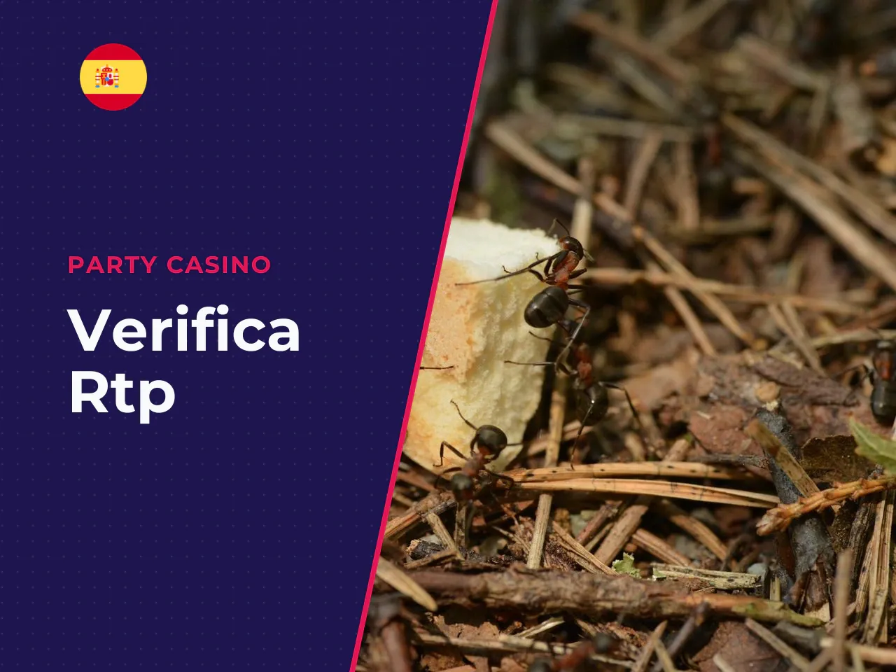 Qué comprobar antes de jugar en un casino Starburst. Antes de depositar y apostar con dinero real, repasa estos puntos. Son básicos, pero muchos jugadores los saltan: - **Verifica el RTP del casino.**